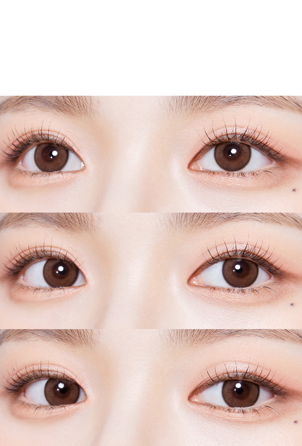 VIVIENNE WESTWOOD (MOND -COPPER )(MONTHLY)