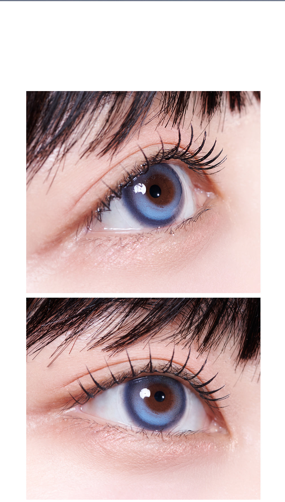 VIVIENNE WESTWOOD - (ROUN - COBALT BLUE ) ( MONTHLY )